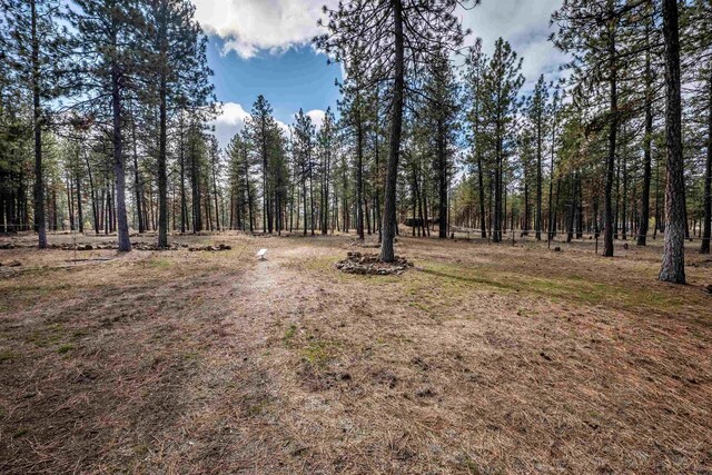 22410 S Ritchey Rd, Cheney, WA 99004 - photo 38