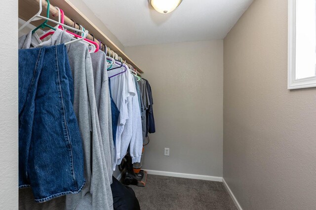 337 Lehigh Hill Rd, Metaline Falls, WA 99153 - walk in closet with carpet flooring
