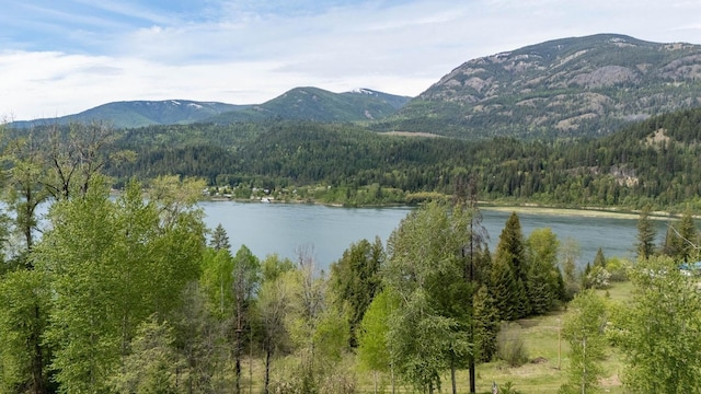 337 Lehigh Hill Rd, Metaline Falls, WA 99153 - water view featuring a heavily wooded area and a mountain backdrop
