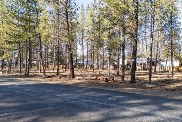 11206 E 27th Ave Lot 10, Spokane Valley, WA 99206 - view of yard