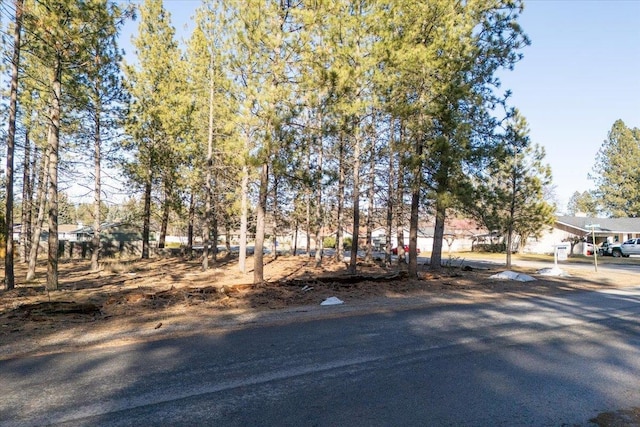 11206 E 27th Ave Lot 10, Spokane Valley, WA 99206 - view of asphalt road