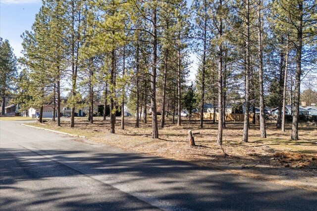11206 E 27th Ave Lot 10, Spokane Valley, WA 99206 - view of asphalt road