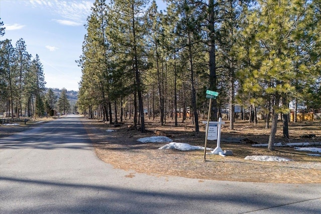 11119 E 27th Ave Lot 3, Spokane Valley, WA 99206 - view of asphalt road