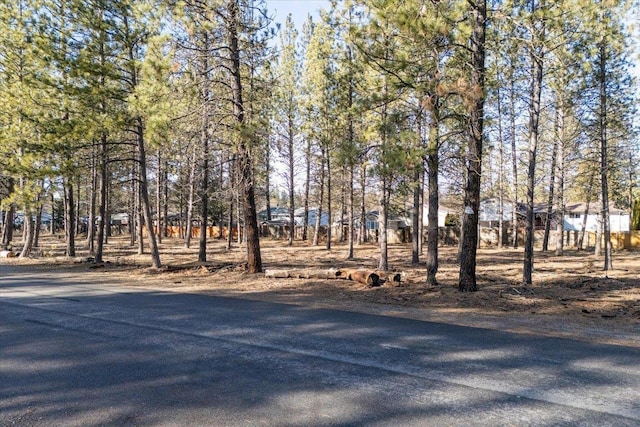 11119 E 27th Ave Lot 3, Spokane Valley, WA 99206 - view of yard