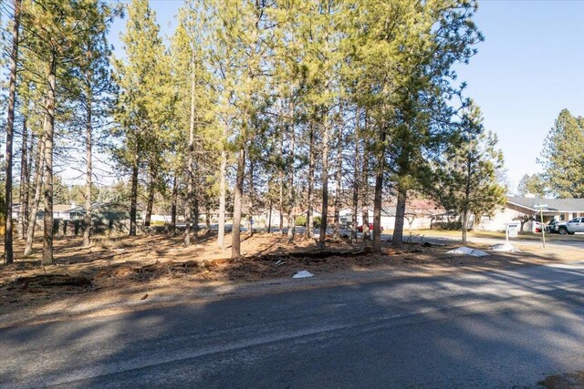 11119 E 27th Ave Lot 3, Spokane Valley, WA 99206 - exterior space