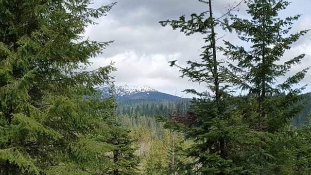203XX E Wallis Rd, Mead, WA 99021 - photo 1