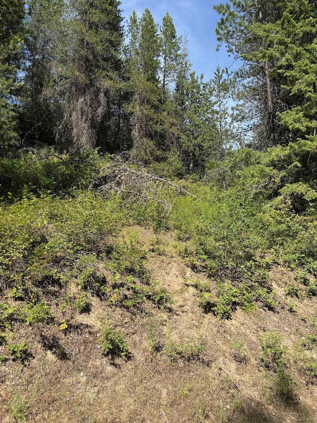203XX E Wallis Rd, Mead, WA 99021 - photo 14