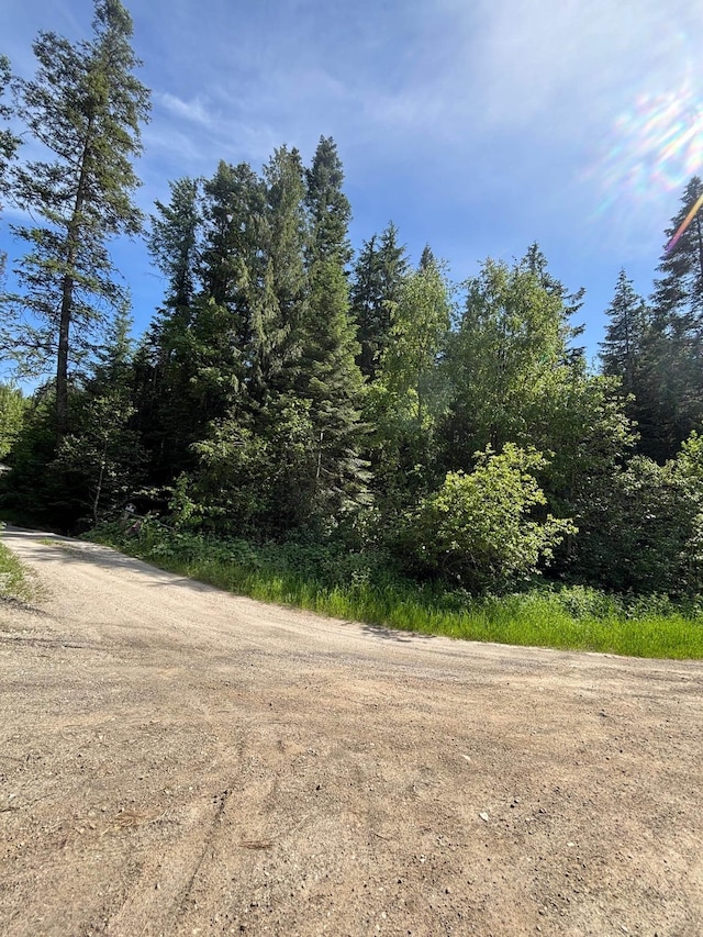 203XX E Wallis Rd, Mead, WA 99021 - photo 30