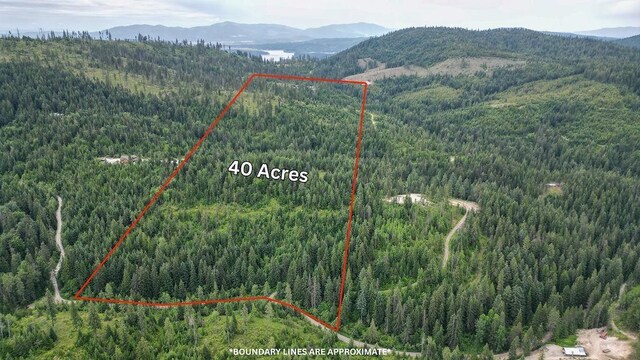 203XX E Wallis Rd, Mead, WA 99021 - photo 36