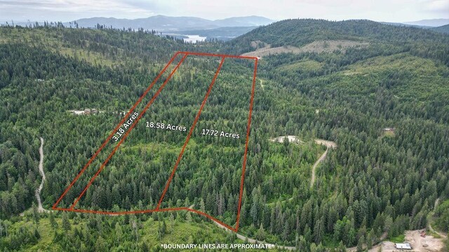 203XX E Wallis Rd, Mead, WA 99021 - photo 37