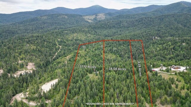 203XX E Wallis Rd, Mead, WA 99021 - photo 38