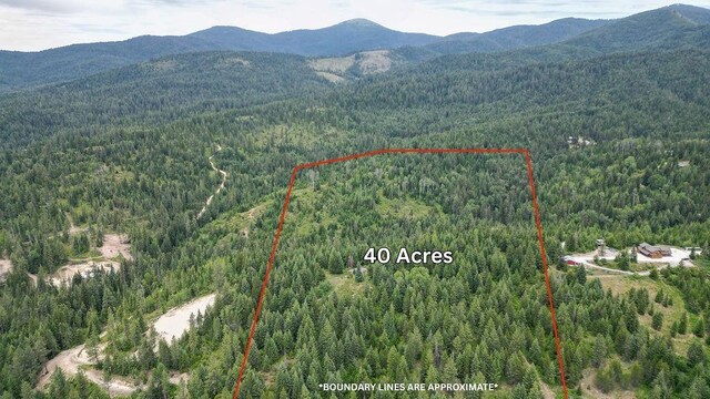 203XX E Wallis Rd, Mead, WA 99021 - photo 39