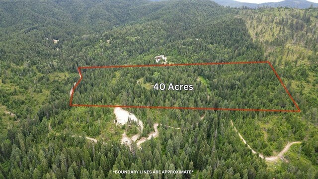 203XX E Wallis Rd, Mead, WA 99021 - photo 40
