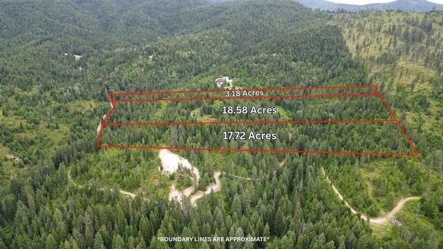203XX E Wallis Rd, Mead, WA 99021 - photo 41