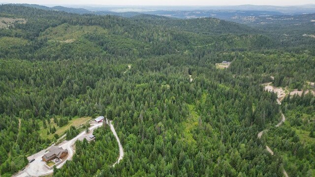 203XX E Wallis Rd, Mead, WA 99021 - photo 45