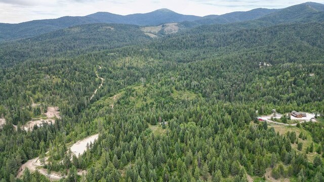 203XX E Wallis Rd, Mead, WA 99021 - photo 46
