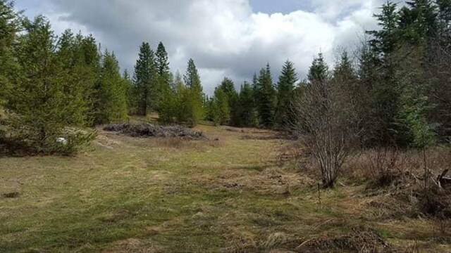 203XX E Wallis Rd, Mead, WA 99021 - photo 6