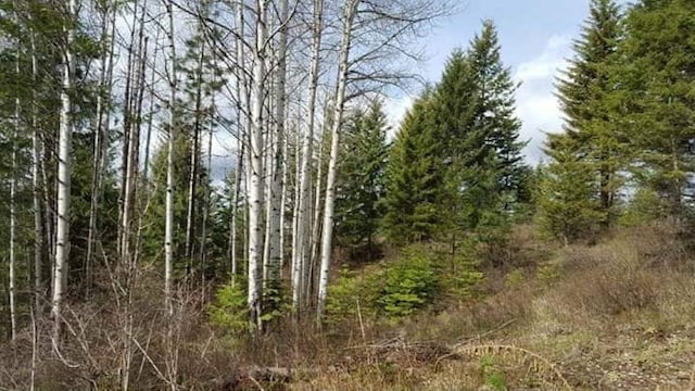 203XX E Wallis Rd, Mead, WA 99021 - photo 8