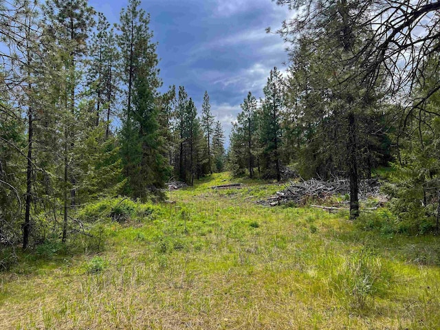 20XX Clemons Rd, Rice, WA 99167 - photo 1