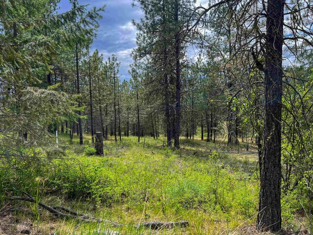 20XX Clemons Rd, Rice, WA 99167 - photo 3