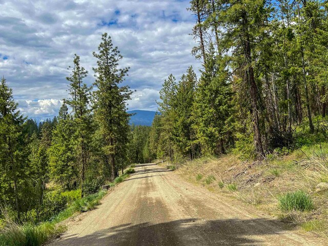 20XX Clemons Rd, Rice, WA 99167 - photo 4