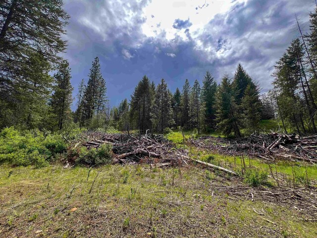 20XX Clemons Rd, Rice, WA 99167 - photo 6