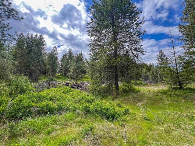 20XX Clemons Rd, Rice, WA 99167 - photo 7
