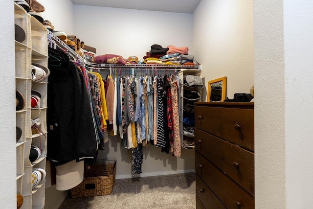 5414 E Bridgeport Ct, Spokane, WA 99217 - spacious closet with carpet