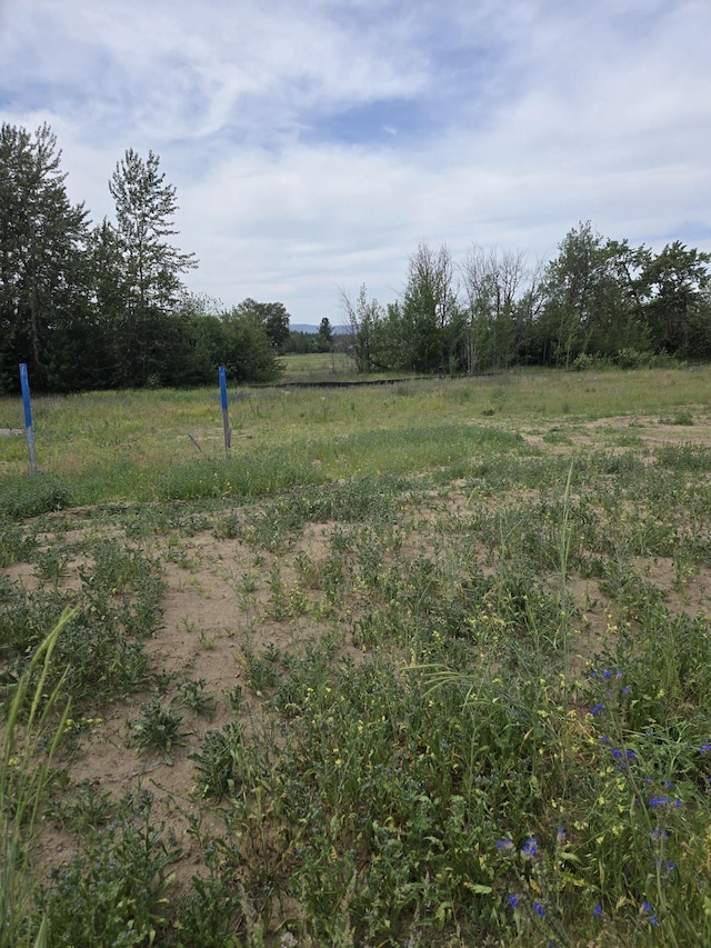 818 S Colville Rd Lot 5, Deer Park, WA 99006 - photo 12