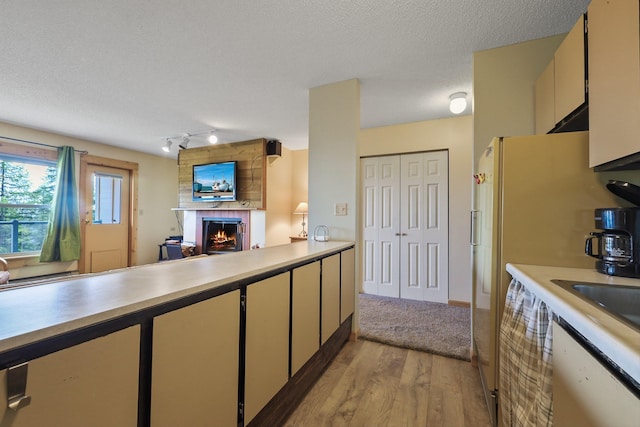 28600 N Mt Spokane Park Dr Unit 506, Mead, WA 99021 - kitchen featuring light wood-style floors, a fireplace, light countertops, track lighting, and a textured ceiling