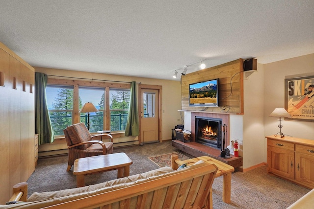 28600 N Mt Spokane Park Dr Unit 506, Mead, WA 99021 - living area with track lighting, light carpet, a tiled fireplace, baseboard heating, and a textured ceiling