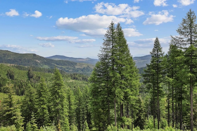 28600 N Mt Spokane Park Dr Unit 506, Mead, WA 99021 - mountain view with a heavily wooded area