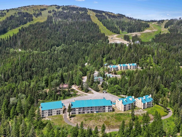 28600 N Mt Spokane Park Dr Unit 506, Mead, WA 99021 - aerial view of a forest and a mountainous background