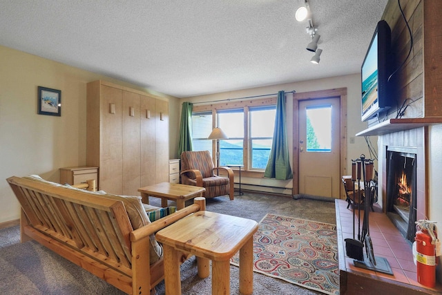 28600 N Mt Spokane Park Dr Unit 506, Mead, WA 99021 - carpeted living room with a baseboard heating unit, a large fireplace, a textured ceiling, and track lighting