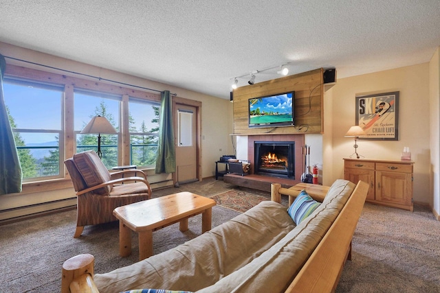 28600 N Mt Spokane Park Dr Unit 506, Mead, WA 99021 - living room with carpet floors, rail lighting, a fireplace, a textured ceiling, and a baseboard heating unit