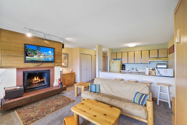 28600 N Mt Spokane Park Dr Unit 506, Mead, WA 99021 - living area featuring rail lighting, a textured ceiling, a tile fireplace, and carpet