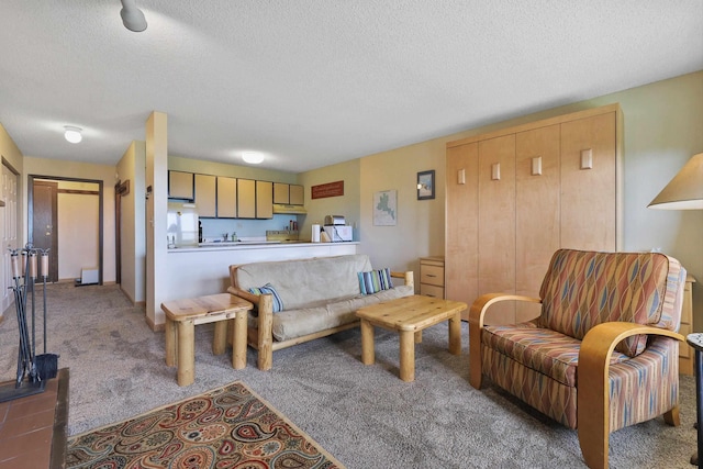 28600 N Mt Spokane Park Dr Unit 506, Mead, WA 99021 - carpeted living area with a textured ceiling