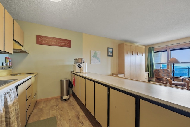 28600 N Mt Spokane Park Dr Unit 506, Mead, WA 99021 - kitchen featuring light wood-style flooring, a textured ceiling, stove, and light countertops