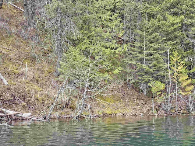 NKA Marshall Lake Rd, Newport, WA 99156 - photo 1