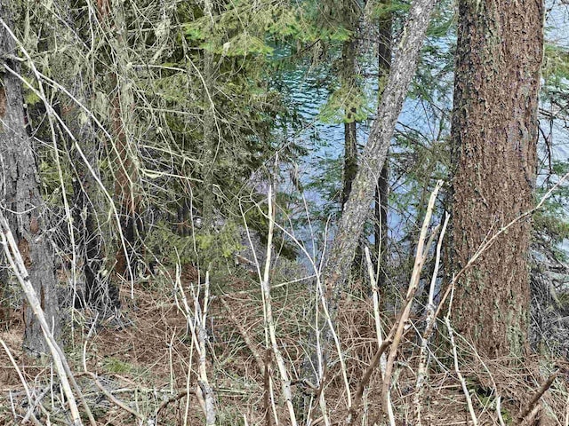 NKA Marshall Lake Rd, Newport, WA 99156 - photo 2