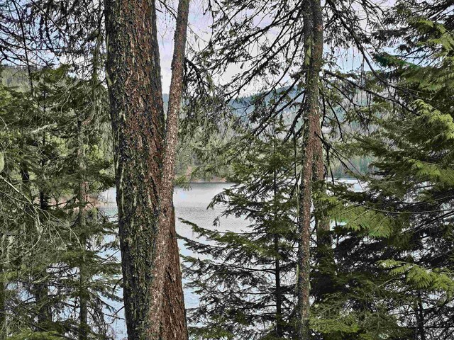 NKA Marshall Lake Rd, Newport, WA 99156 - photo 11