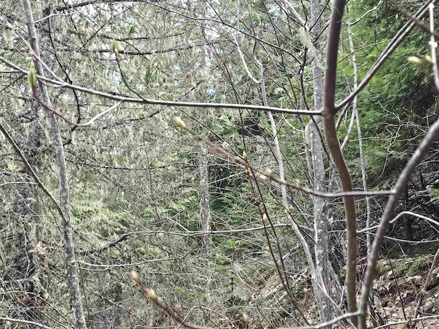 NKA Marshall Lake Rd, Newport, WA 99156 - photo 13