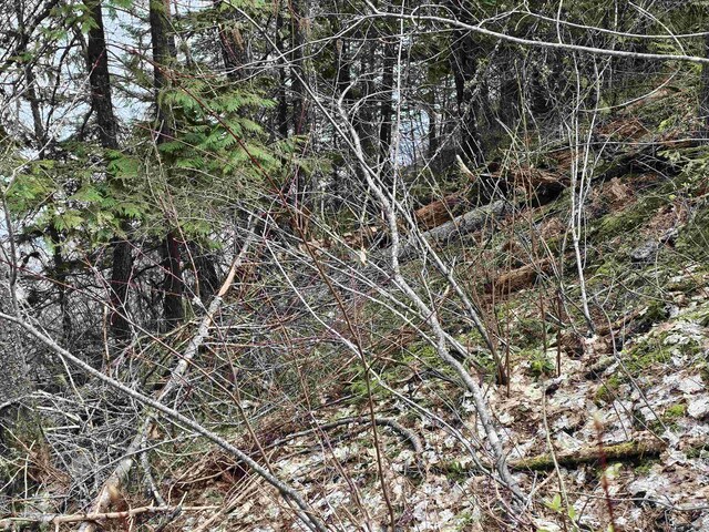 NKA Marshall Lake Rd, Newport, WA 99156 - photo 14