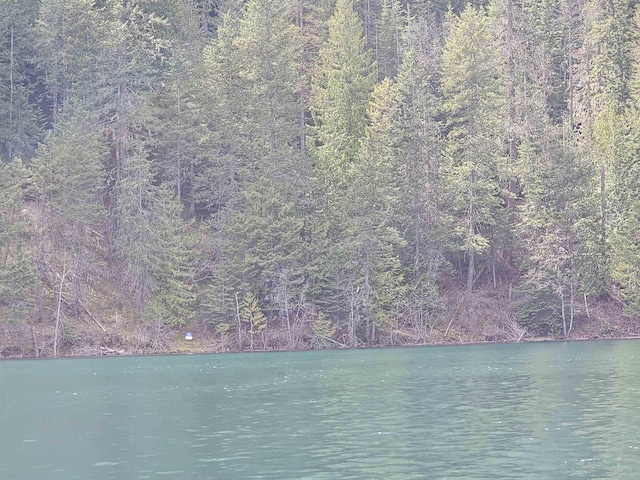 NKA Marshall Lake Rd, Newport, WA 99156 - photo 16
