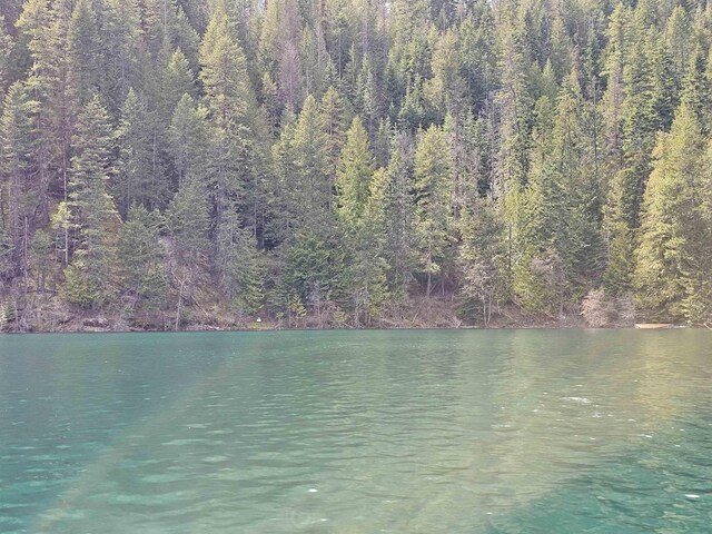 NKA Marshall Lake Rd, Newport, WA 99156 - photo 17