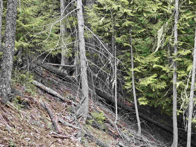 NKA Marshall Lake Rd, Newport, WA 99156 - photo 3