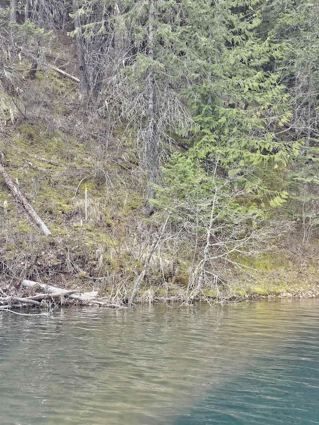NKA Marshall Lake Rd, Newport, WA 99156 - photo 4