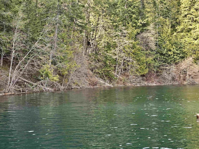 NKA Marshall Lake Rd, Newport, WA 99156 - photo 5