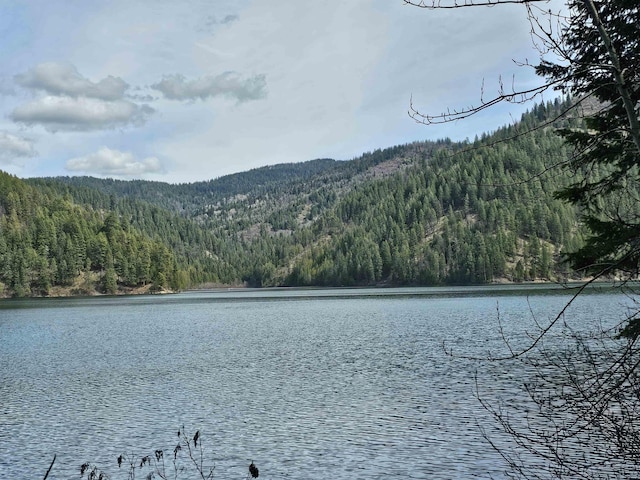 NKA Marshall Lake Rd, Newport, WA 99156 - photo 6
