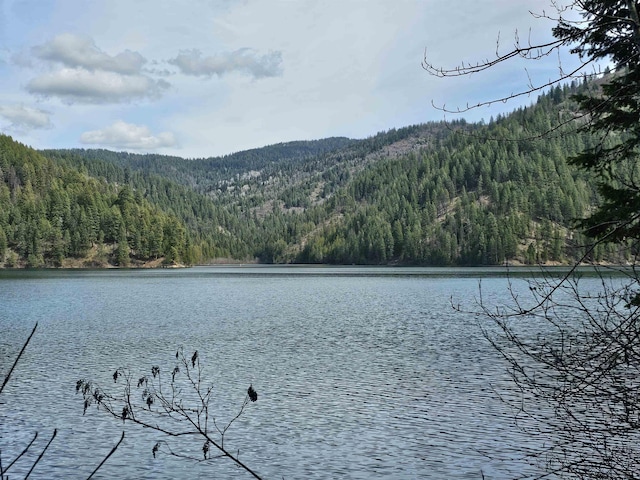 NKA Marshall Lake Rd, Newport, WA 99156 - photo 7